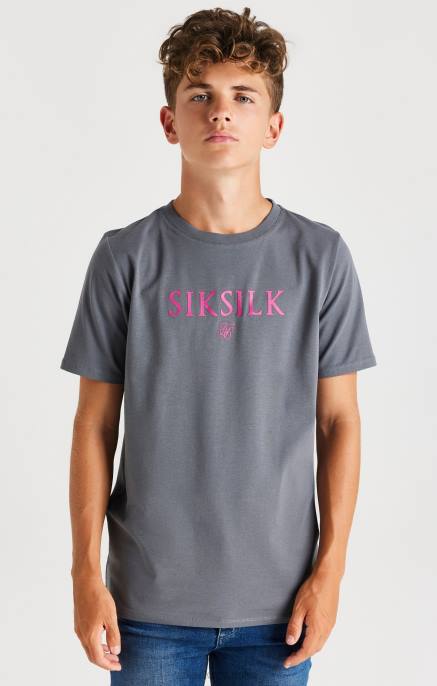 SikSilk dječaci siva markirana majica D088280 odjeća